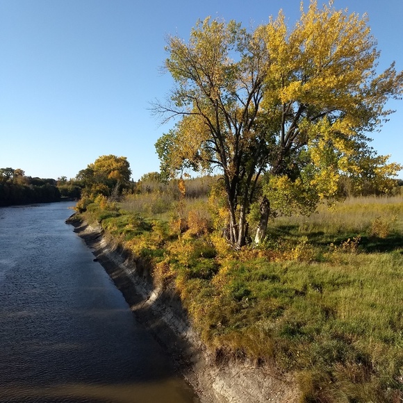 Meet your Posher, Carolyn - Picture 1 of 1